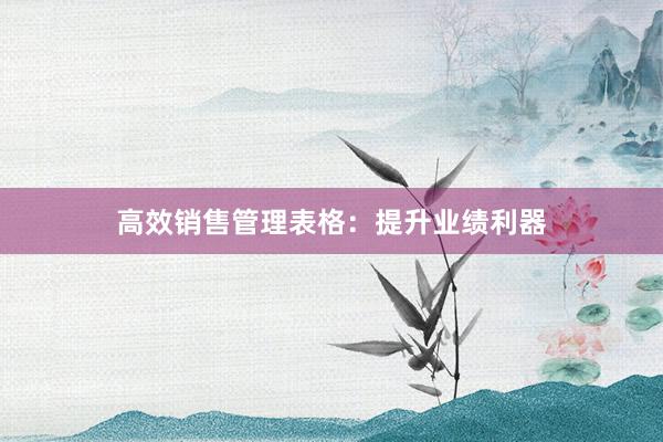 高效销售管理表格：提升业绩利器